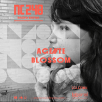 AGENTE BLOSSOM
